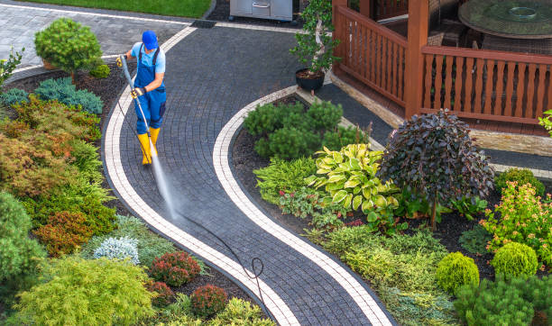 Best House Pressure Washing  in Phoenix, IL